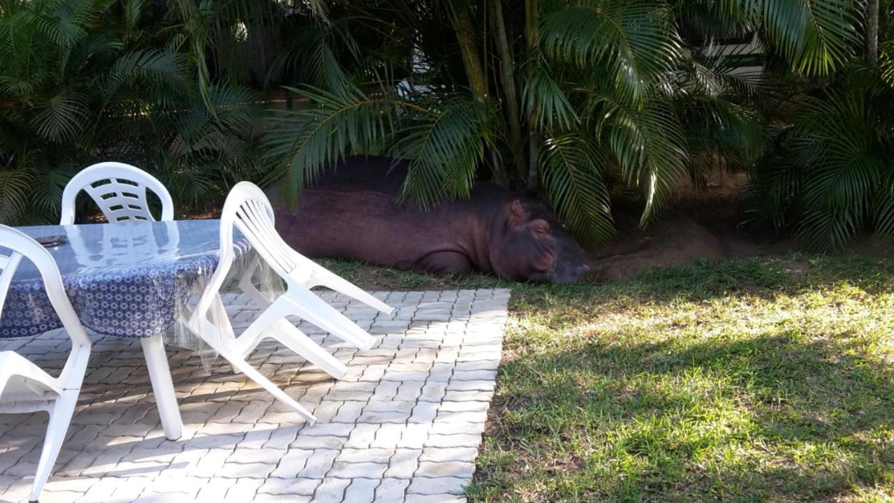 Lake St Lucia Lodge エクステリア 写真